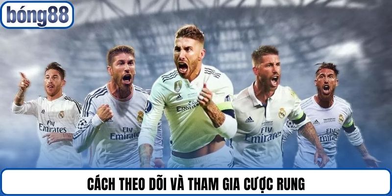 Cách theo dõi và tham gia cược rung