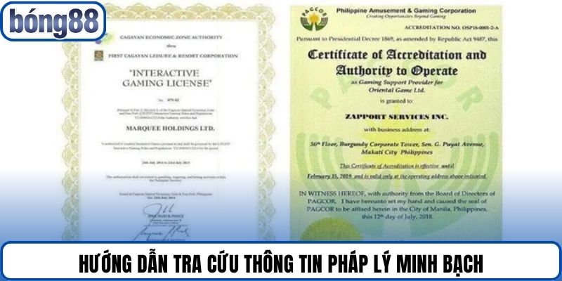 Hướng dẫn tra cứu thông tin pháp lý minh bạch