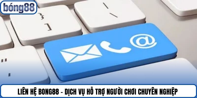 Liên hệ Bong88 - Dịch vụ hỗ trợ người chơi chuyên nghiệp 