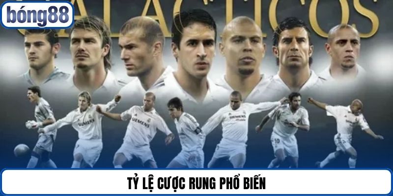 Tỷ lệ cược rung phổ biến